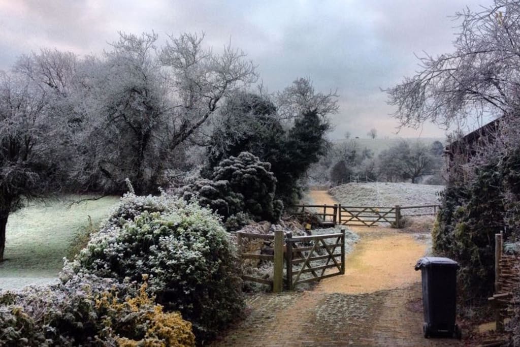 View from the house into the paddocks on a frosty morning.