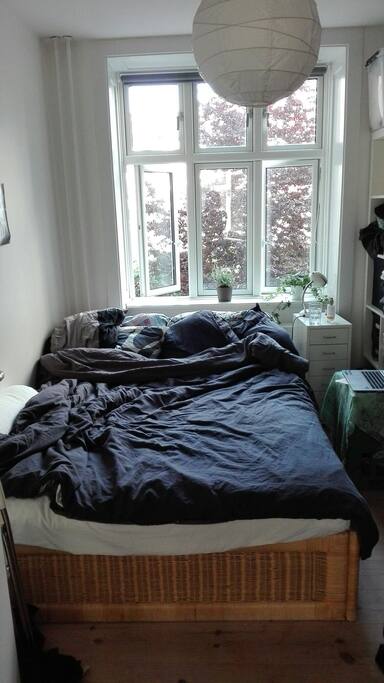 Bed room