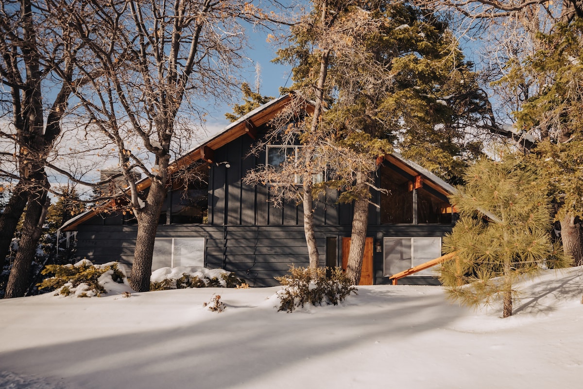 A mid-century chalet is nestled among snow-covered trees, showcasing a dark exterior and wooden accents. Surrounding the cabin, a snowy landscape and tall pines create a serene setting. Large windows allow natural light to illuminate the space, inviting a cozy atmosphere.