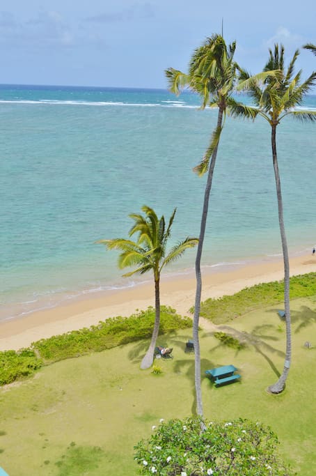 Ariel view of the beach in front of the cottages.