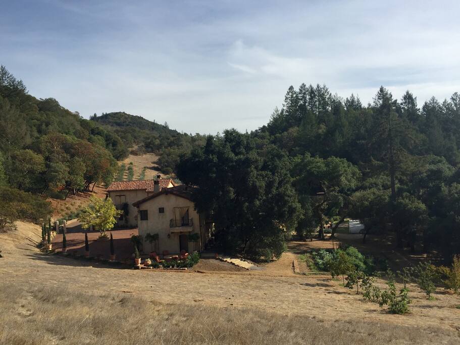Peaceful setting surrounded by woods and vineyards.