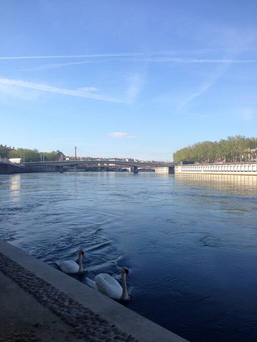 Quai de Saône en contrebas de l'immeuble