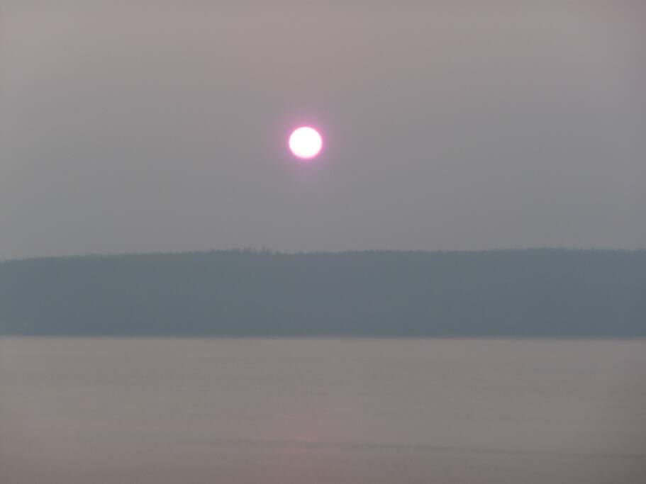 Moon in the Morning