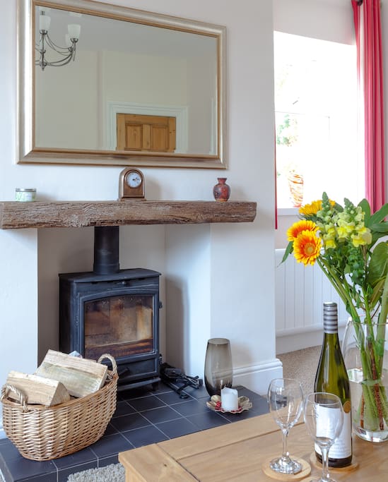 Cosy wood burning stove