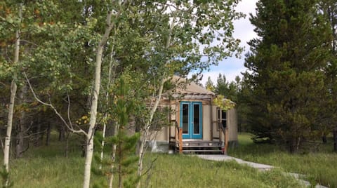 Year-Round Yurt Adventure for Nature Lovers