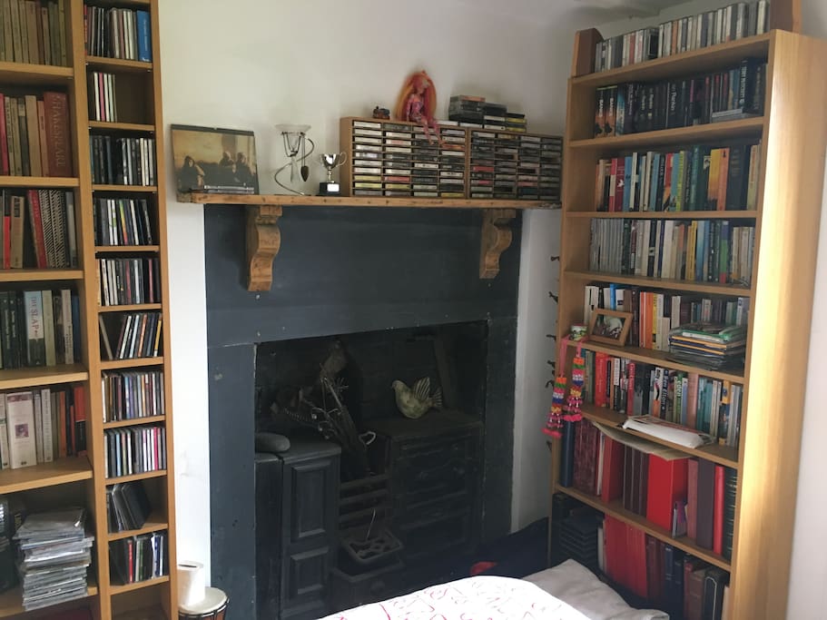 Lots of books in the house