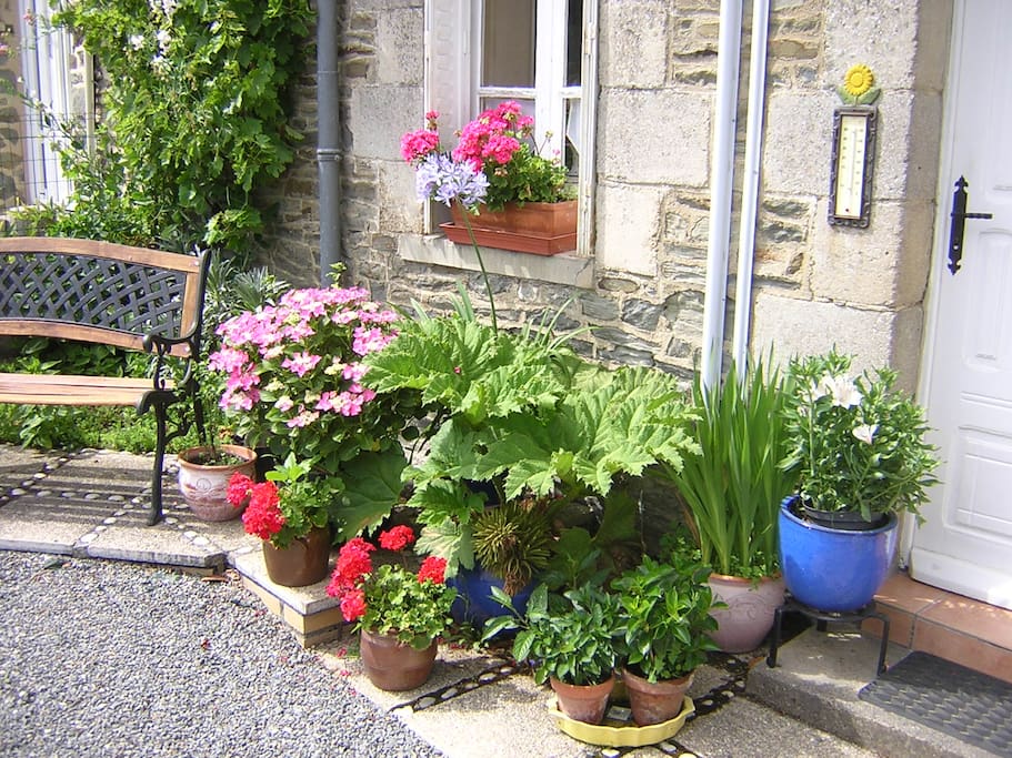 Beautiful plants at front of Dalijalu
