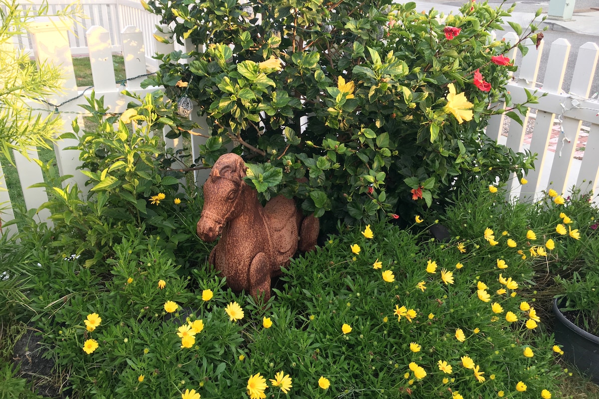 A decorative horse statue is nestled among vibrant yellow flowers and lush green foliage. The planting area is enclosed by a white picket fence, providing a charming garden accent in the private outdoor space.