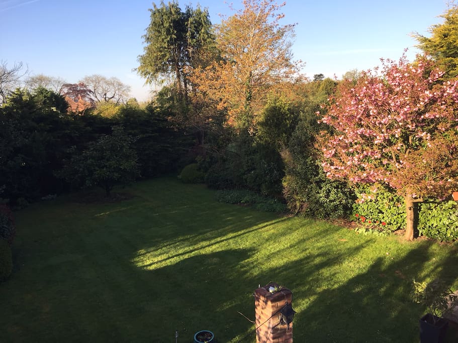 Our gorgeous garden with wonderful unobstructed views