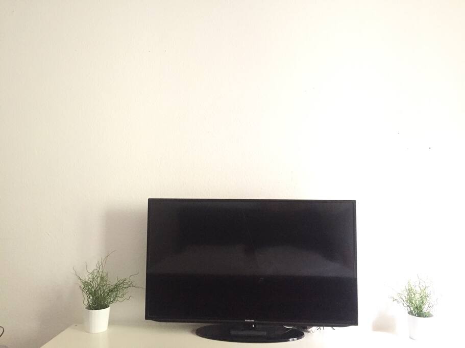 TV / APPLE TV