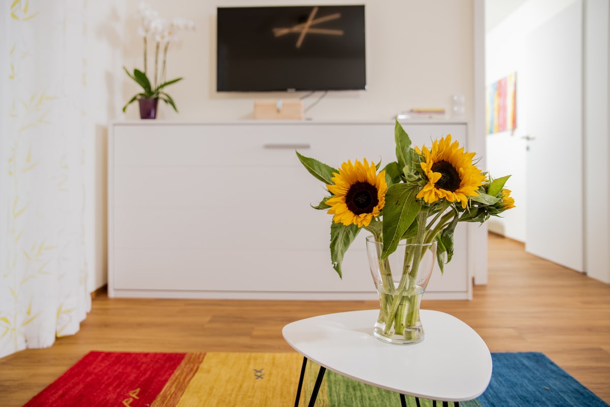 SMART TV s krevetom na rasklapanje