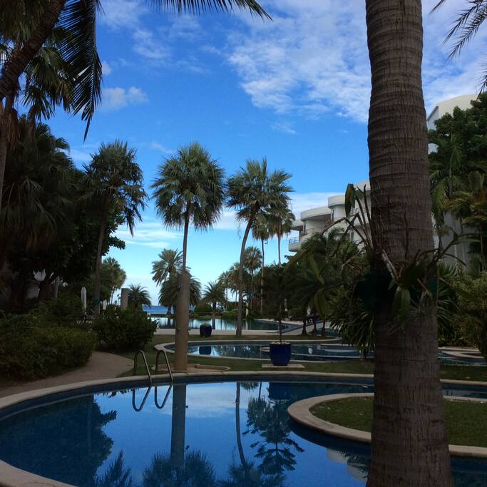 pool and garden