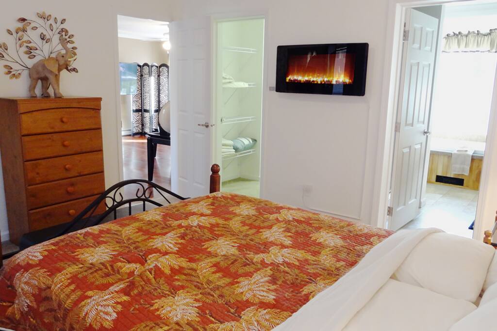 Master bedroom with walk-in closet