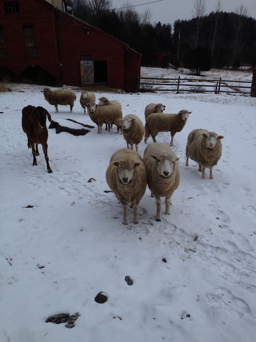 Why are you late with our grain?