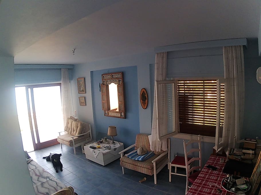 Living Room View 1