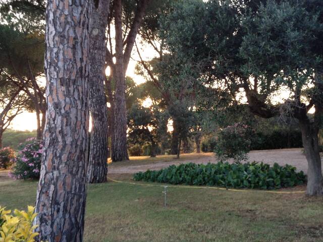 L’Oasi di Baal gallery image 3