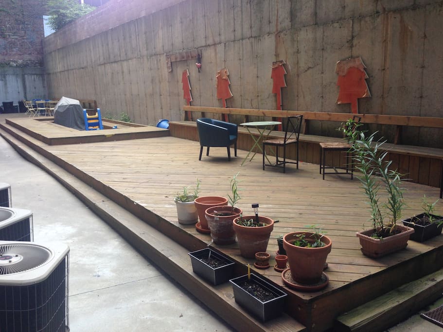 quiet backyard with wifi access