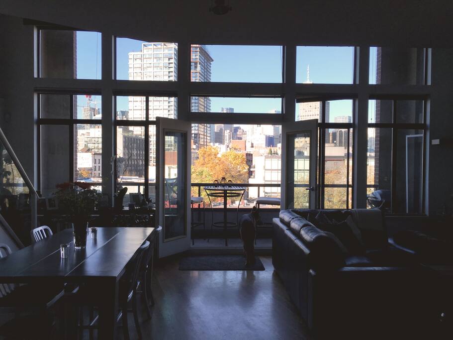 20 foot high ceiling.