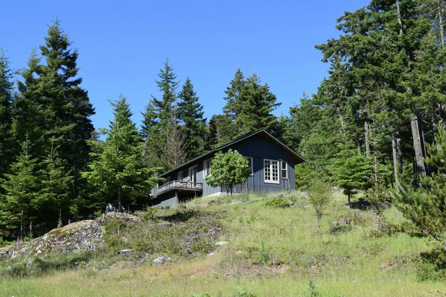 Tranquil Orcas Island Cabin Cabins For Rent In Eastsound