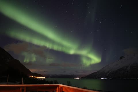 Steindalen - Close to Lyngsalpene, Tamok and Tromsø