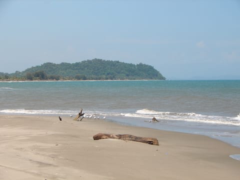 Casa del Arte: A beachfront villa with a private pool