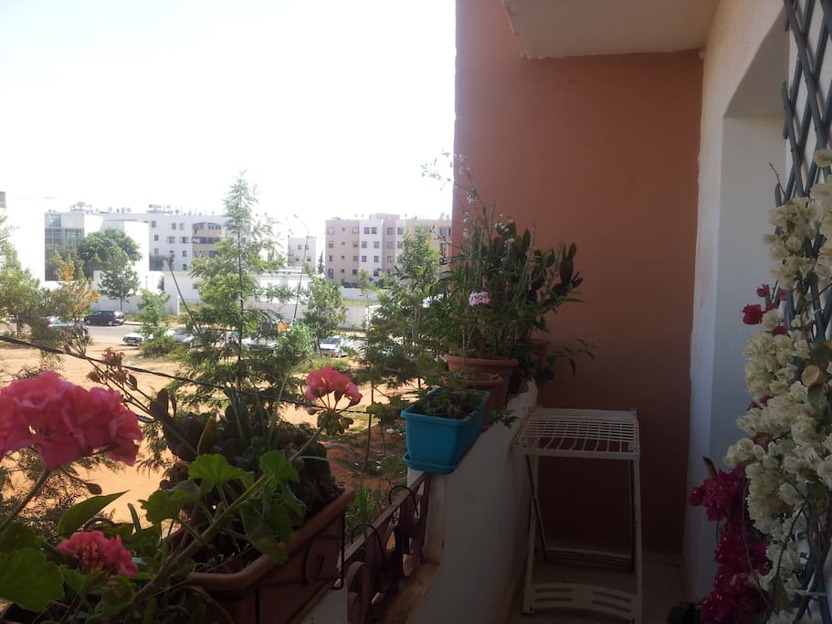 A full sunlight balcony with flower