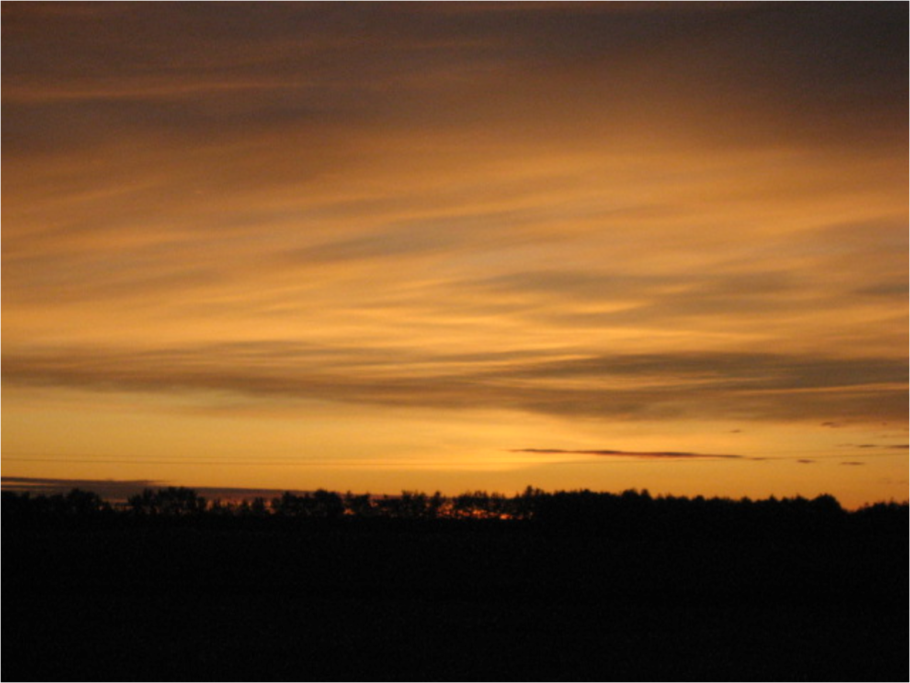 Harvest Sunset