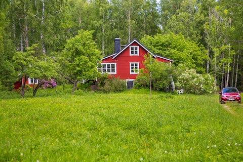 Classic Stockholm Archipelagodream