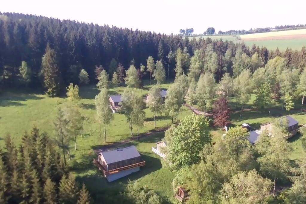 vue aérienne du site "Friends in the wood"