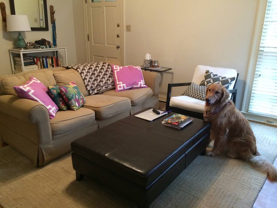 Dog approved!