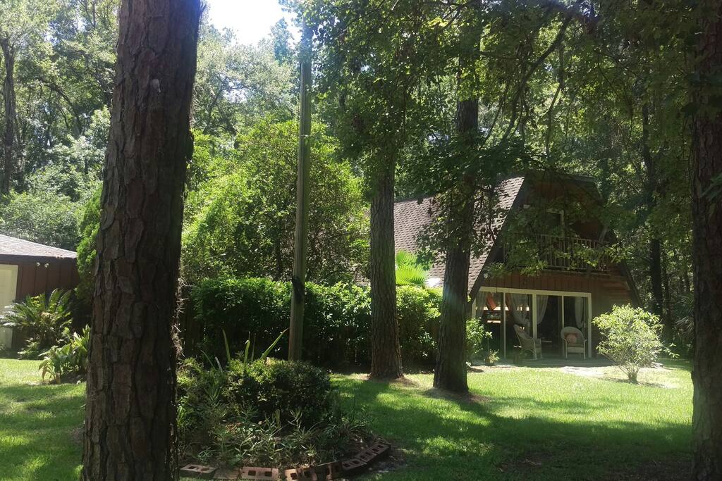 Wooded area