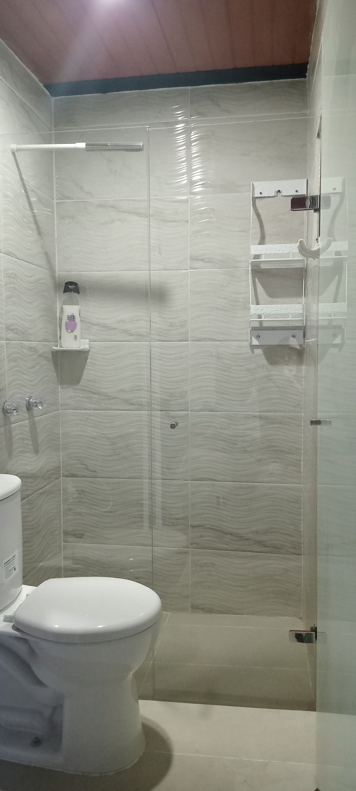 A modern bathroom features a glass shower enclosure with tiled walls that have a gentle wave pattern. A toilet is positioned adjacent to the shower, while a minimalist shelving unit is mounted on the wall for toiletries. The space is well-lit and clean.