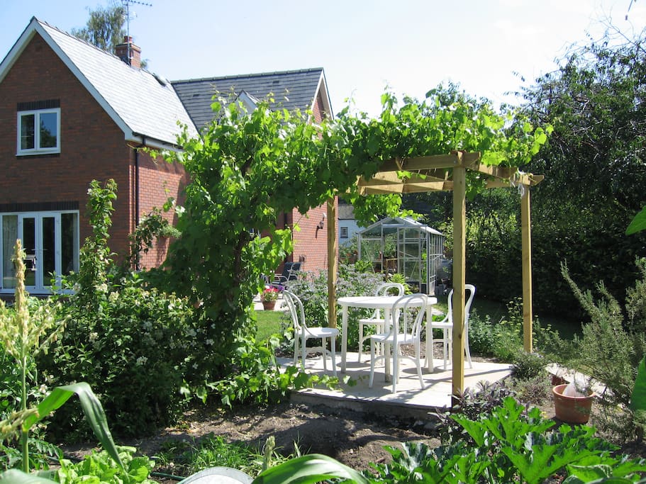 Our garden