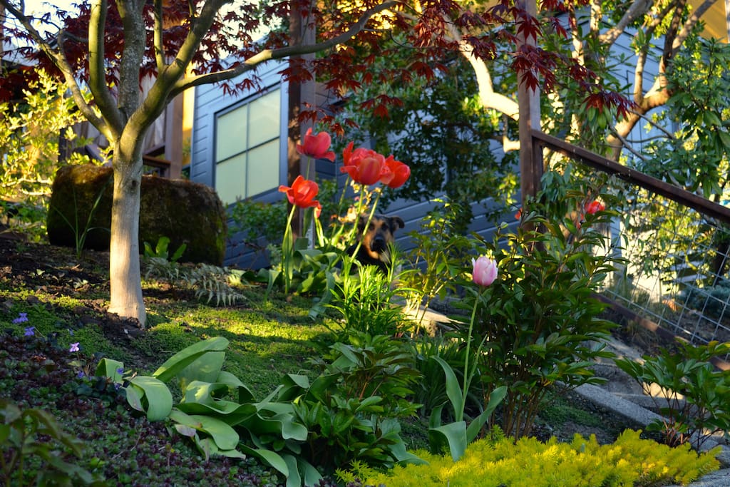 Beautiful garden pathway to entrance of apartment.