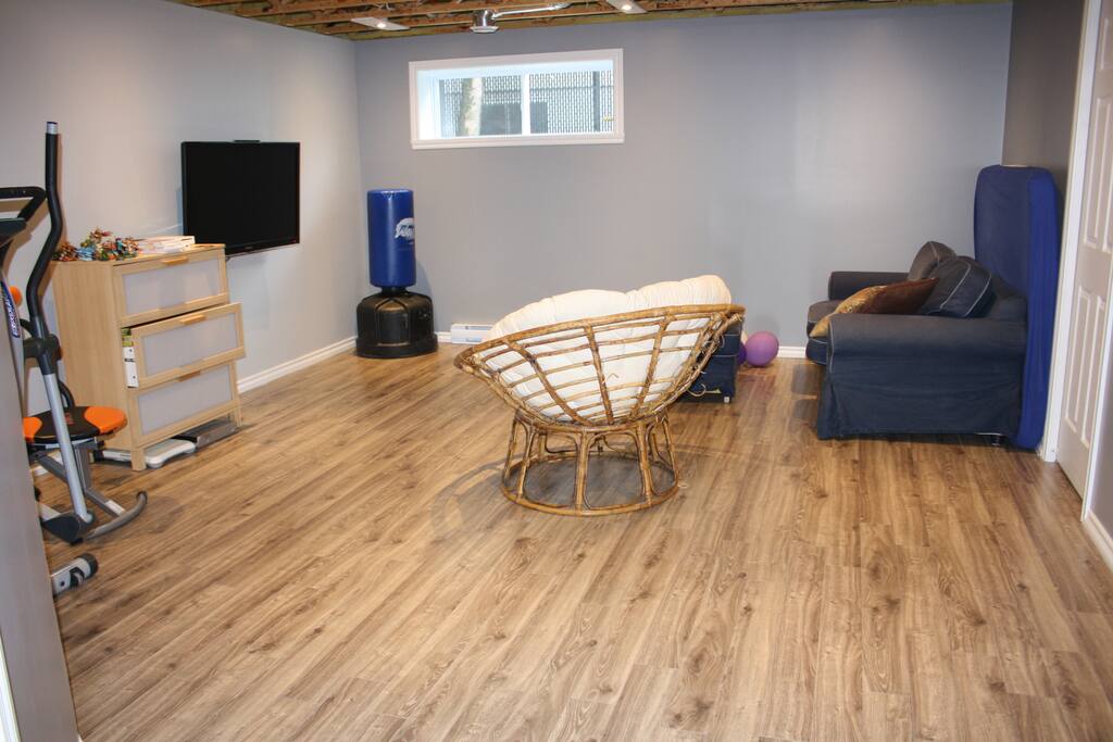 petit salon, tv, jeux vidéos, elliptique.