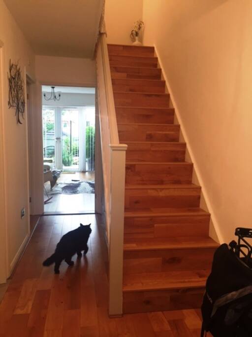 hallway
