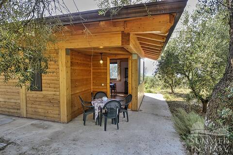 Fattoria L'Oliveto