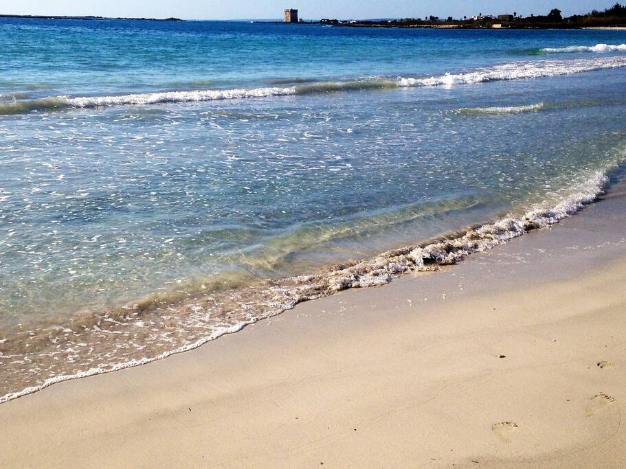 il mare di porto cesareo