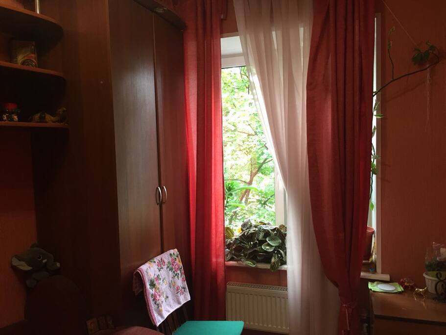 View