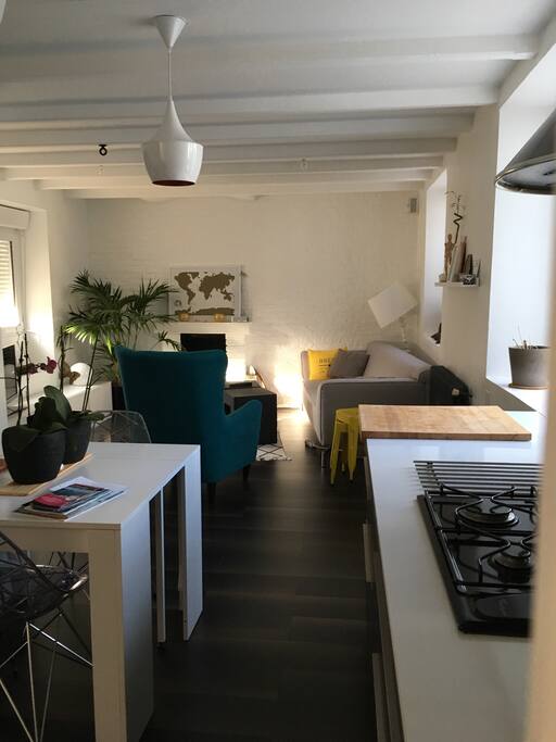 Cuisine ouverte sur le salon - Table extensible