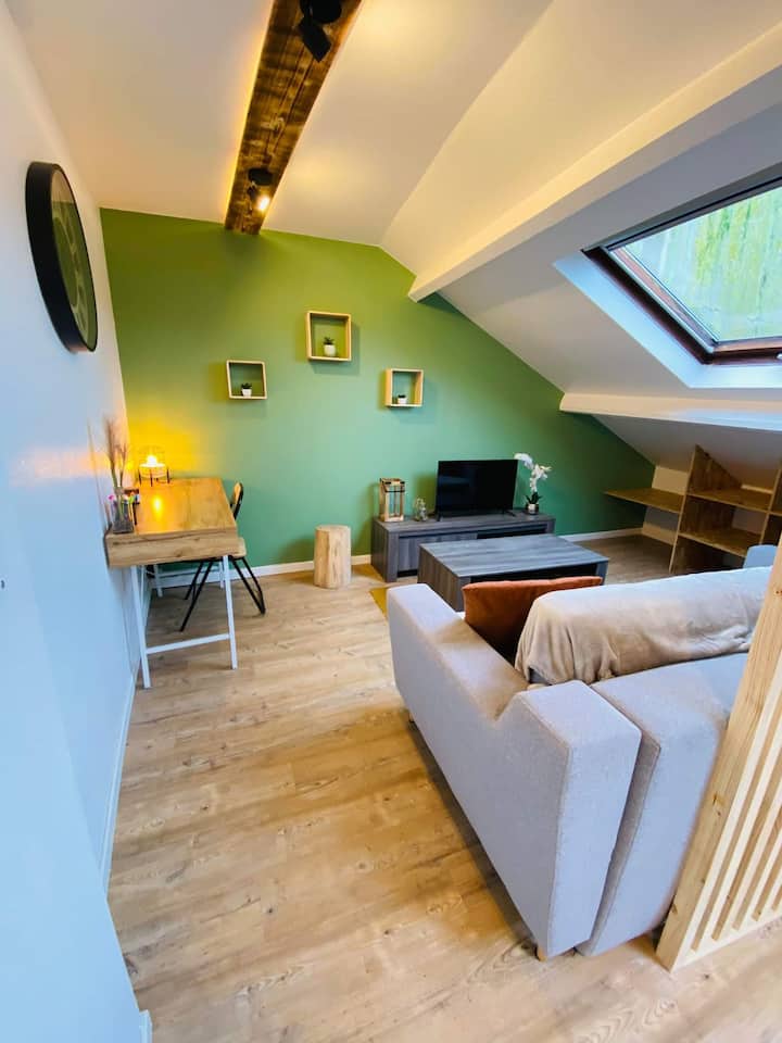 Warm studio in the heart of the city Condominiums for Rent in