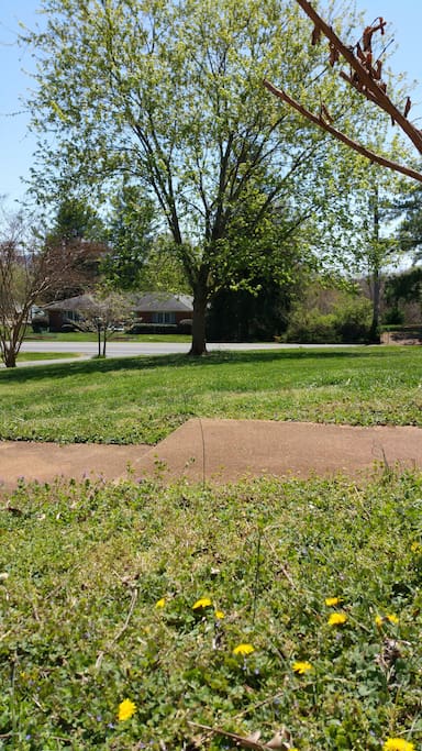 Quiet neighborhood, beautiful views