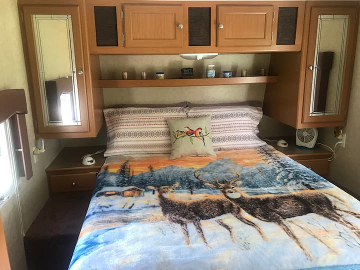 Queen size bed with Two small fans and dehumidifier. 