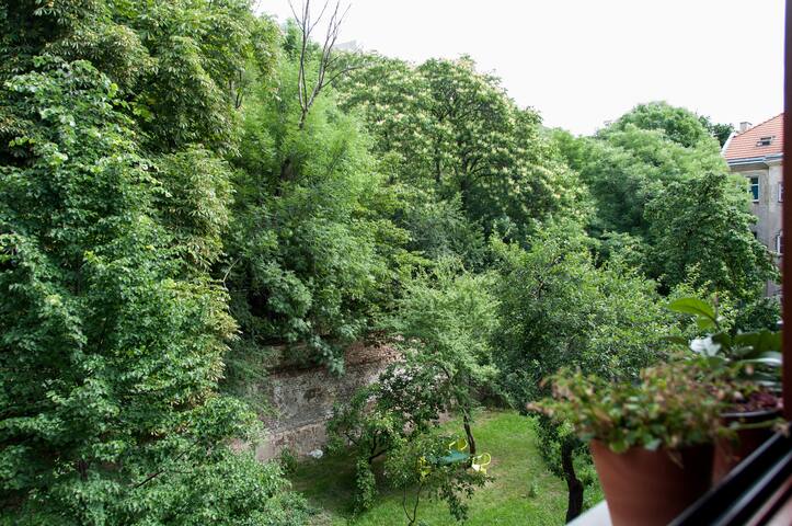 3 BEDROOM FAMILY APARTMENT NEAR CITY CENTRE gallery image 5