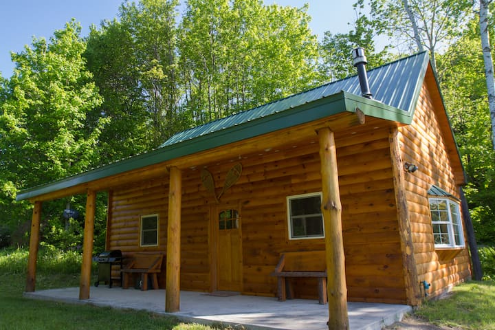 Beautiful Cabin In Finger Lakes Ny Cabins For Rent In Freeville