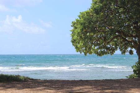 Ocean view & Pool Whale watcher Free wif & Parkng