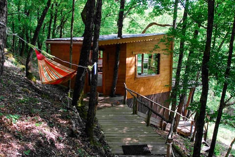 Cabin, Chalet in the forest