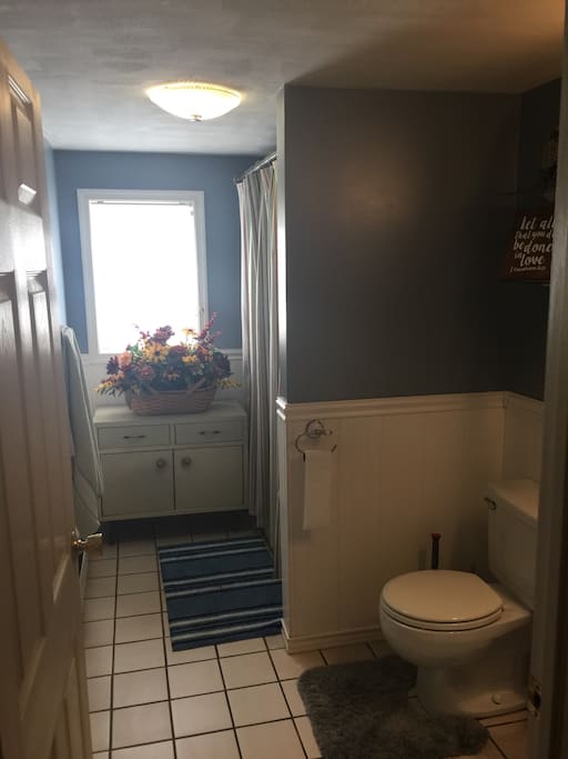 Downstairs guest bath