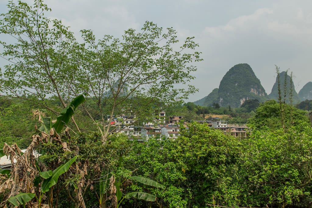 View from balcony