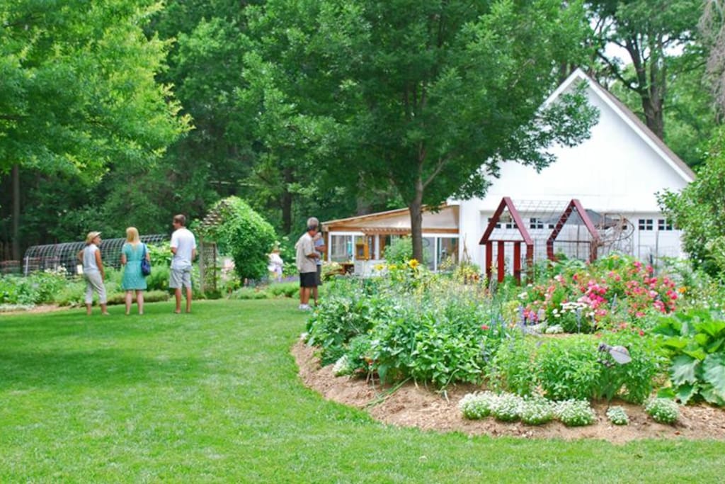 A great private backyard to explore.